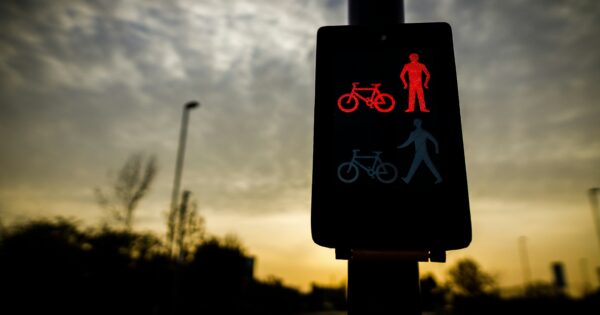 Rote Ampel vor schönem Abendhimmel und Baumsiluette